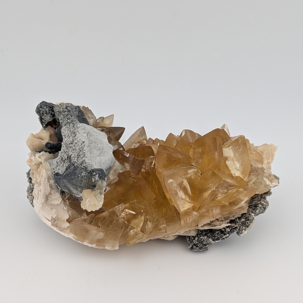 Fossil Clam Calcite Crystal Specimen - Picture 2 of 4